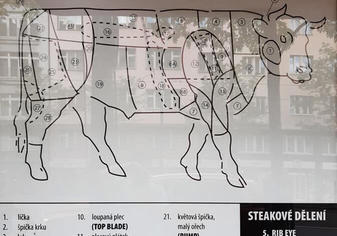 Czy w Pradze można nauczyć się słownictwa dotyczącego rozbioru wołowiny?