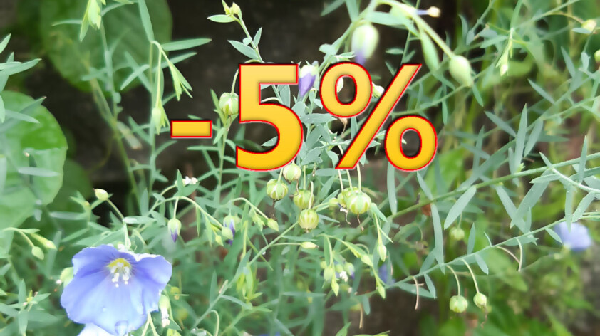 Rabaty majowe – 5%!