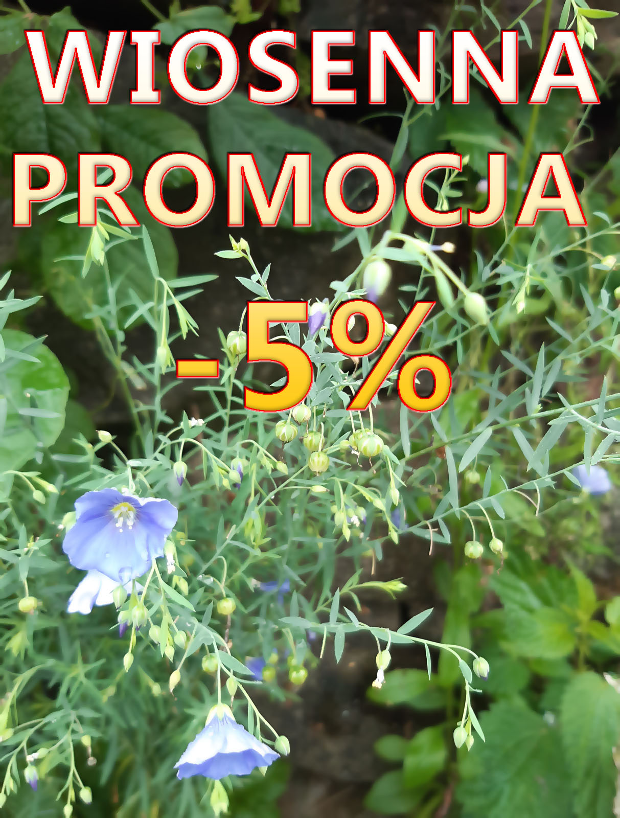 Only in May: additional 5% discount for translations over 20 standard pages!
